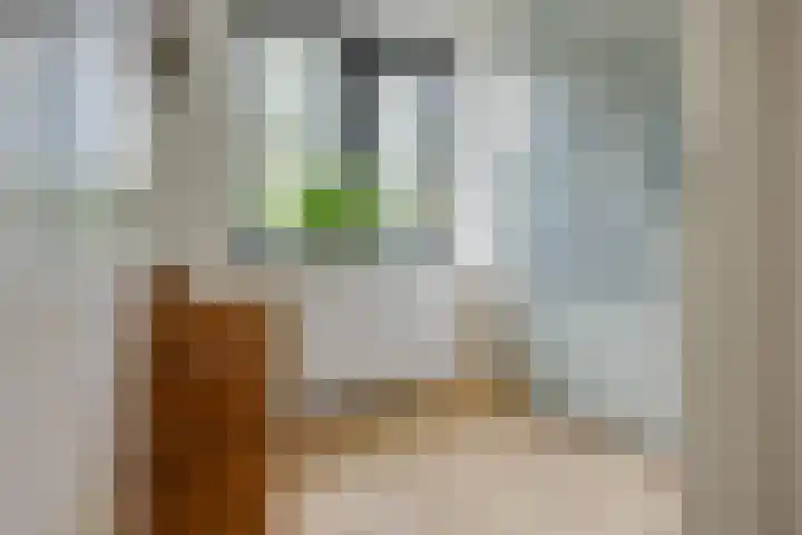 Veenslagen 57 Amersfoort thumbnail 22