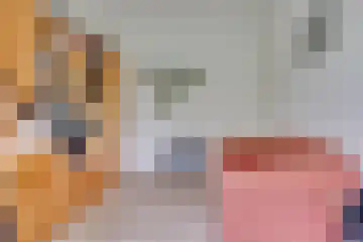Veenslagen 57 Amersfoort thumbnail 26