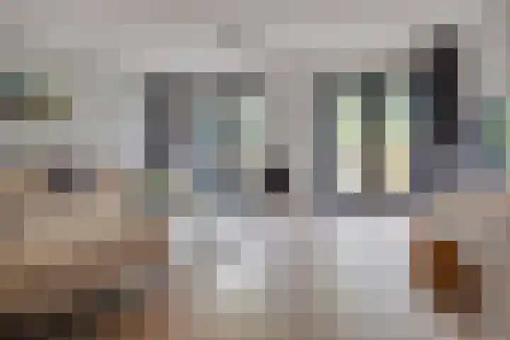 Veenslagen 57 Amersfoort thumbnail 4
