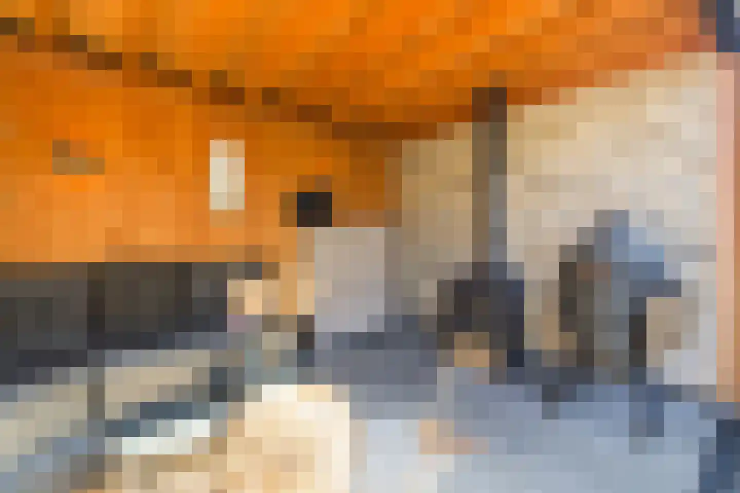 Veenslagenweg 117 Hoevelaken thumbnail 17