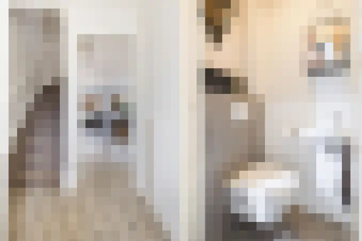 Veenslagenweg 117 Hoevelaken thumbnail 20