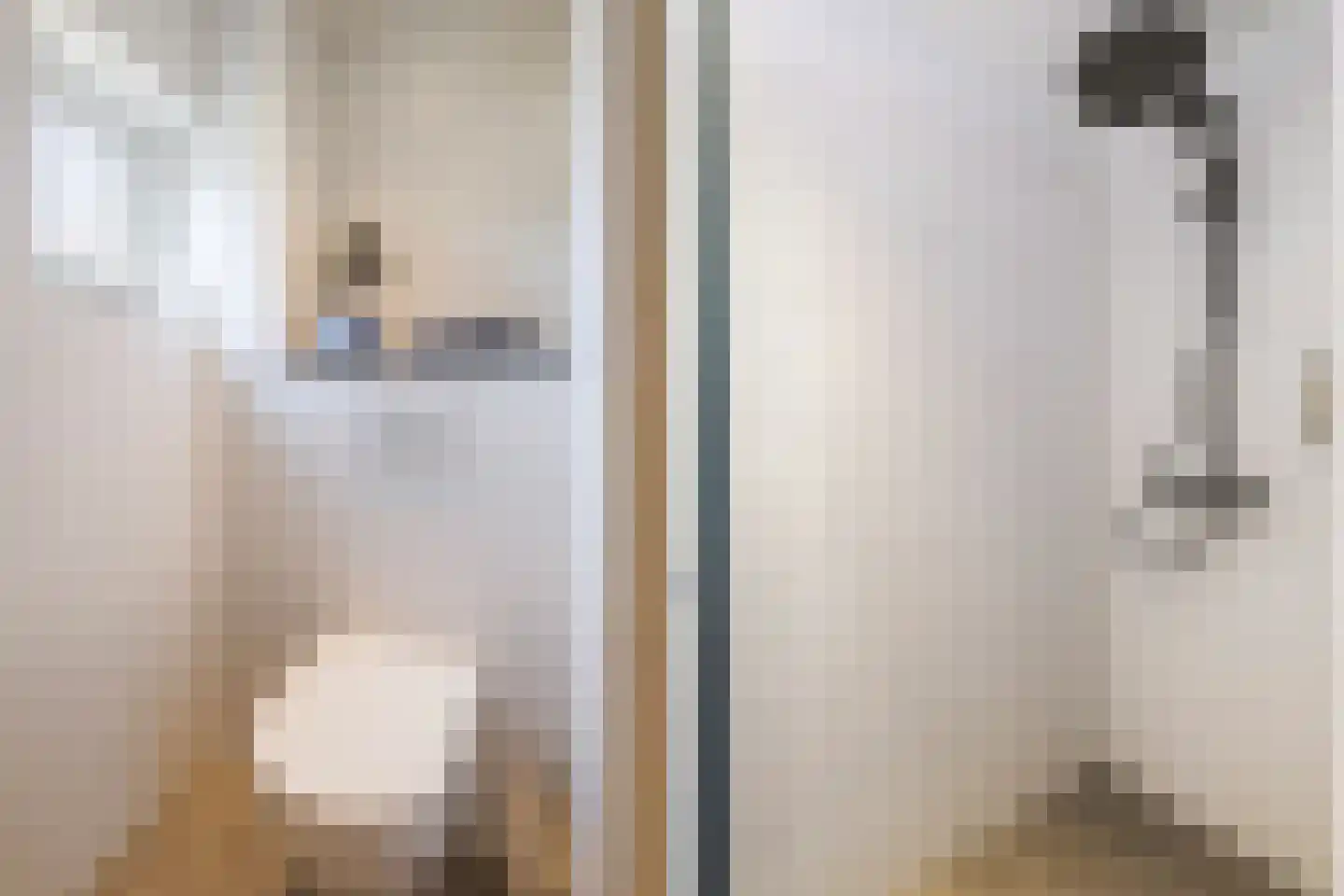 Veenslagenweg 117 Hoevelaken thumbnail 28