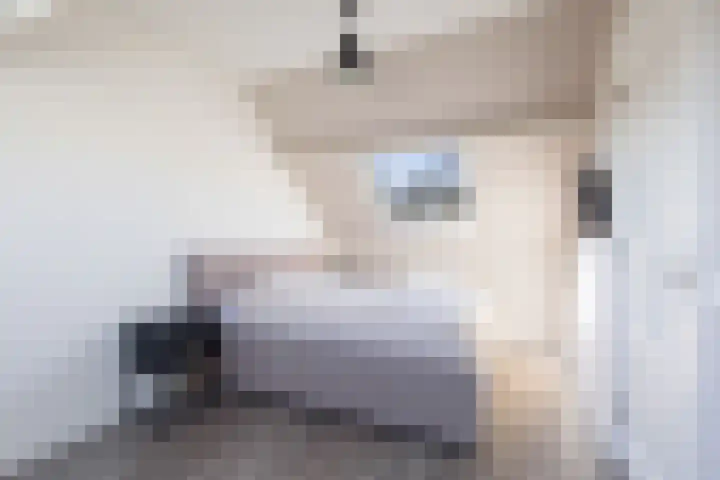 Veenslagenweg 117 Hoevelaken thumbnail 31