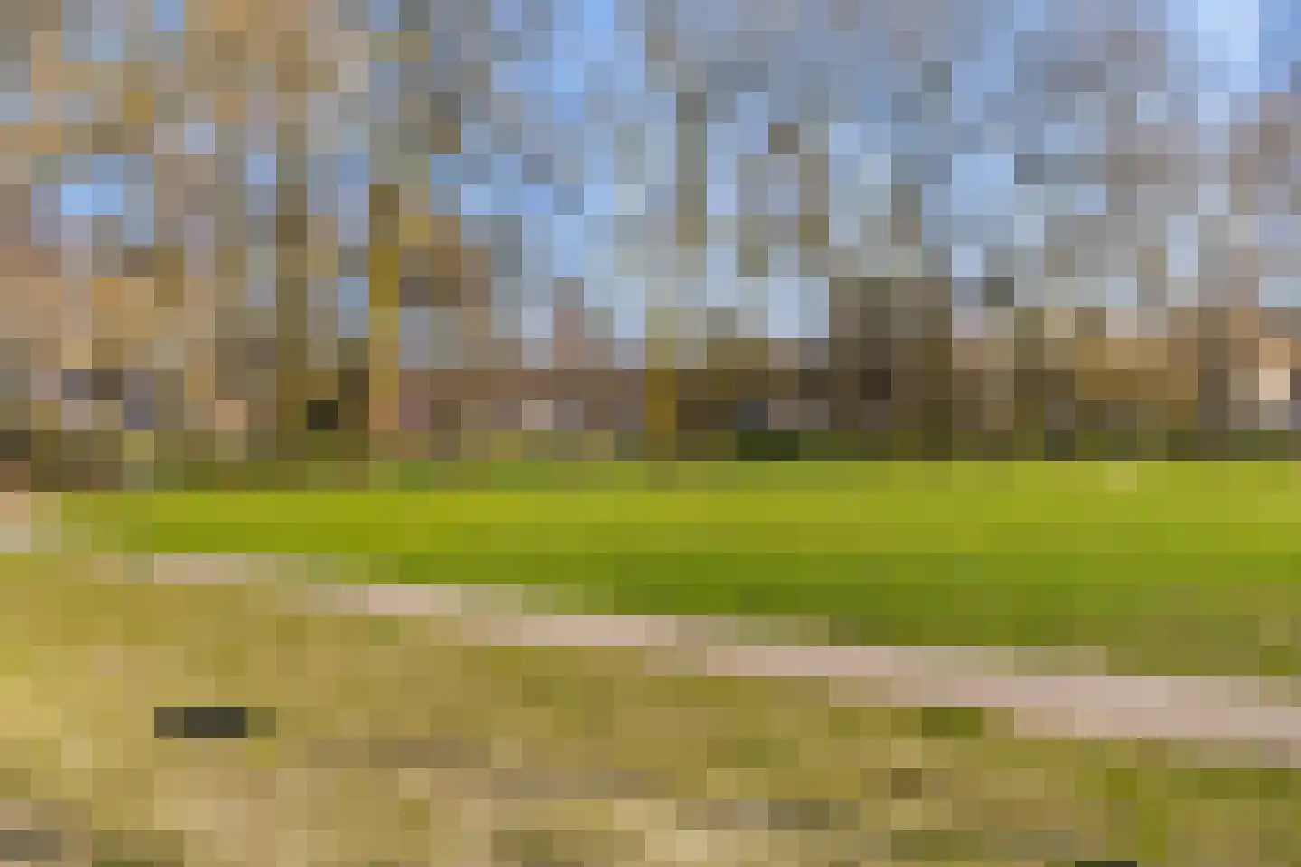 Veenslagenweg 117 Hoevelaken thumbnail 35