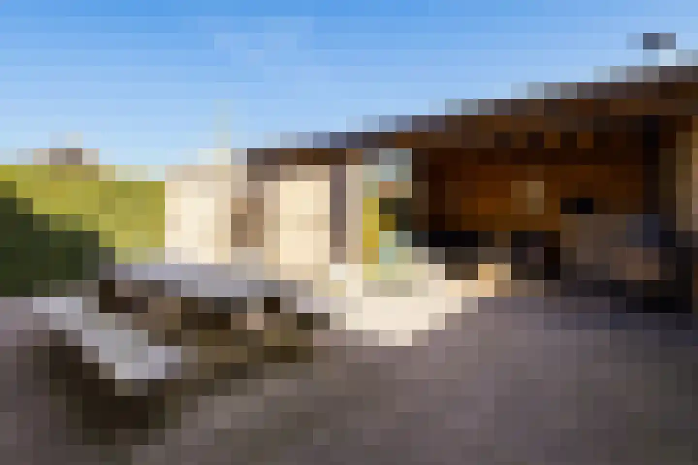 Veenslagenweg 117 Hoevelaken thumbnail 4