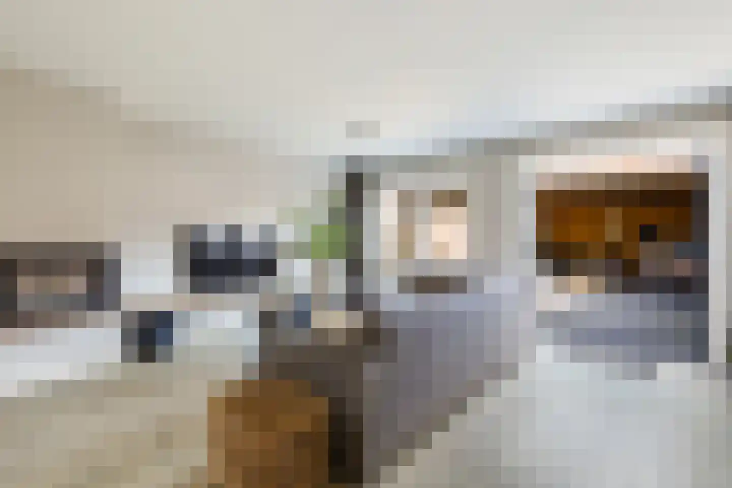 Veenslagenweg 117 Hoevelaken thumbnail 8