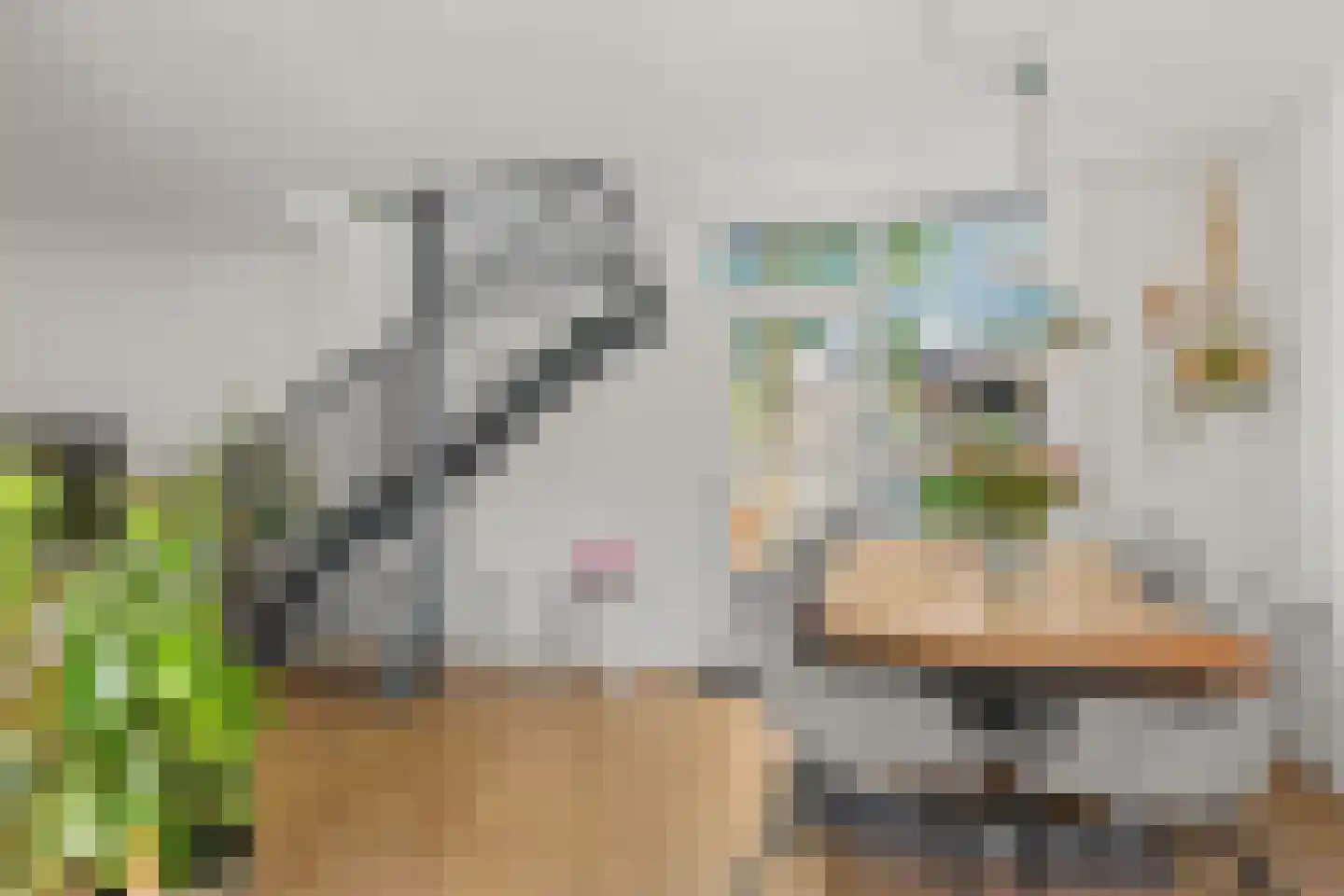 Veenslagenweg 150 Hoevelaken thumbnail 14