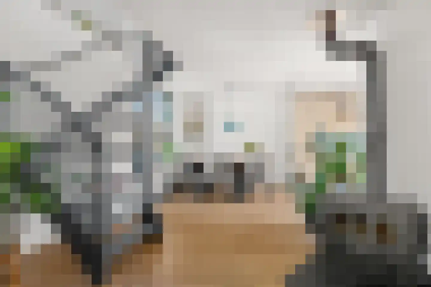 Veenslagenweg 150 Hoevelaken thumbnail 17