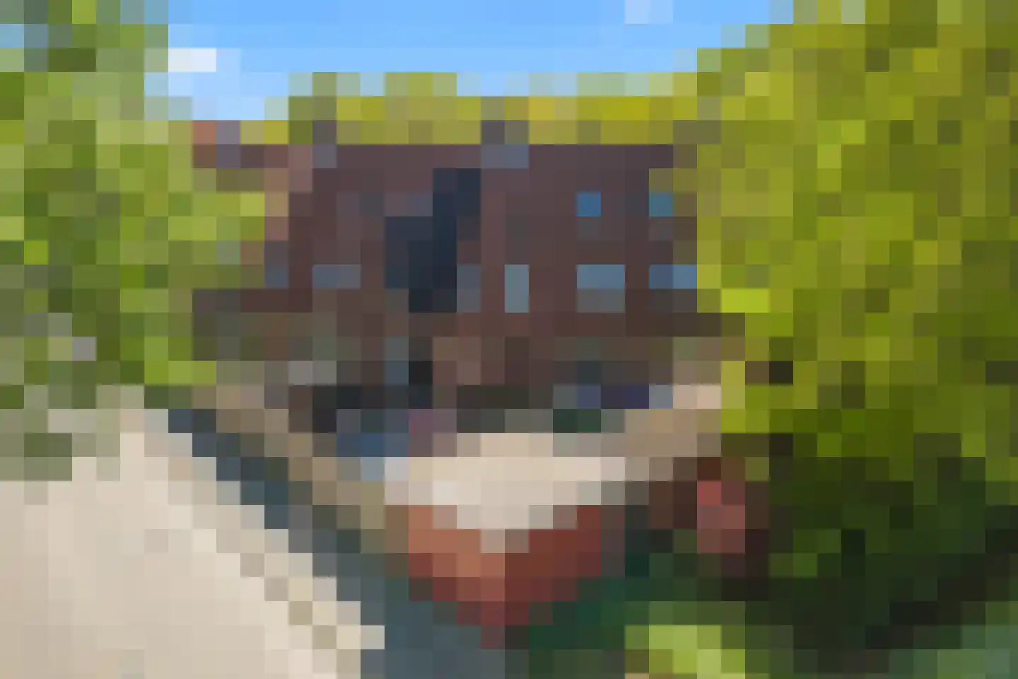Veenslagenweg 150 Hoevelaken thumbnail 51