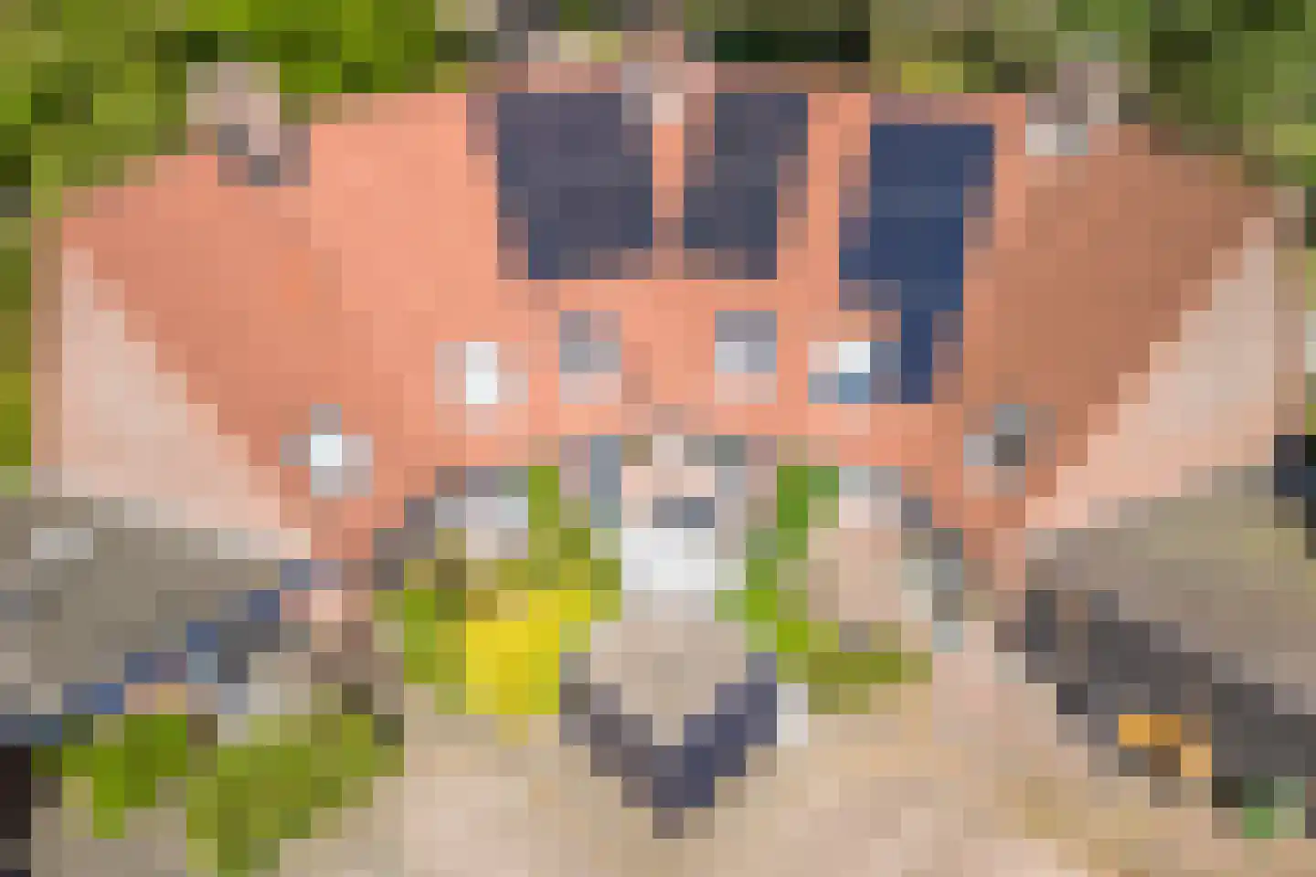 Veenslagenweg 150 Hoevelaken thumbnail 56