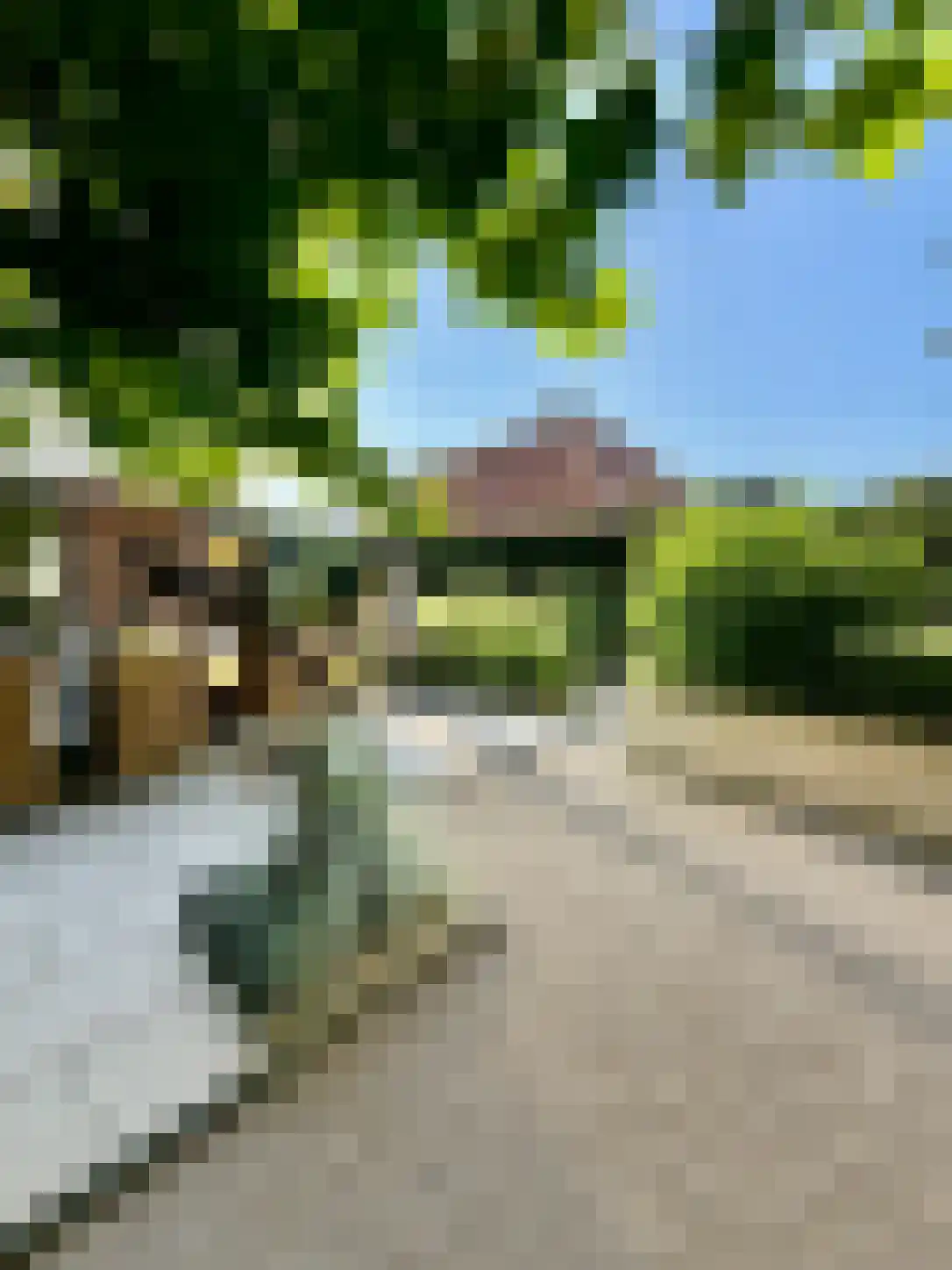 Veenslagenweg 170 Hoevelaken thumbnail 10