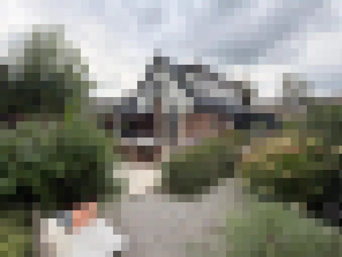 Veenslagenweg 170 Hoevelaken thumbnail 11