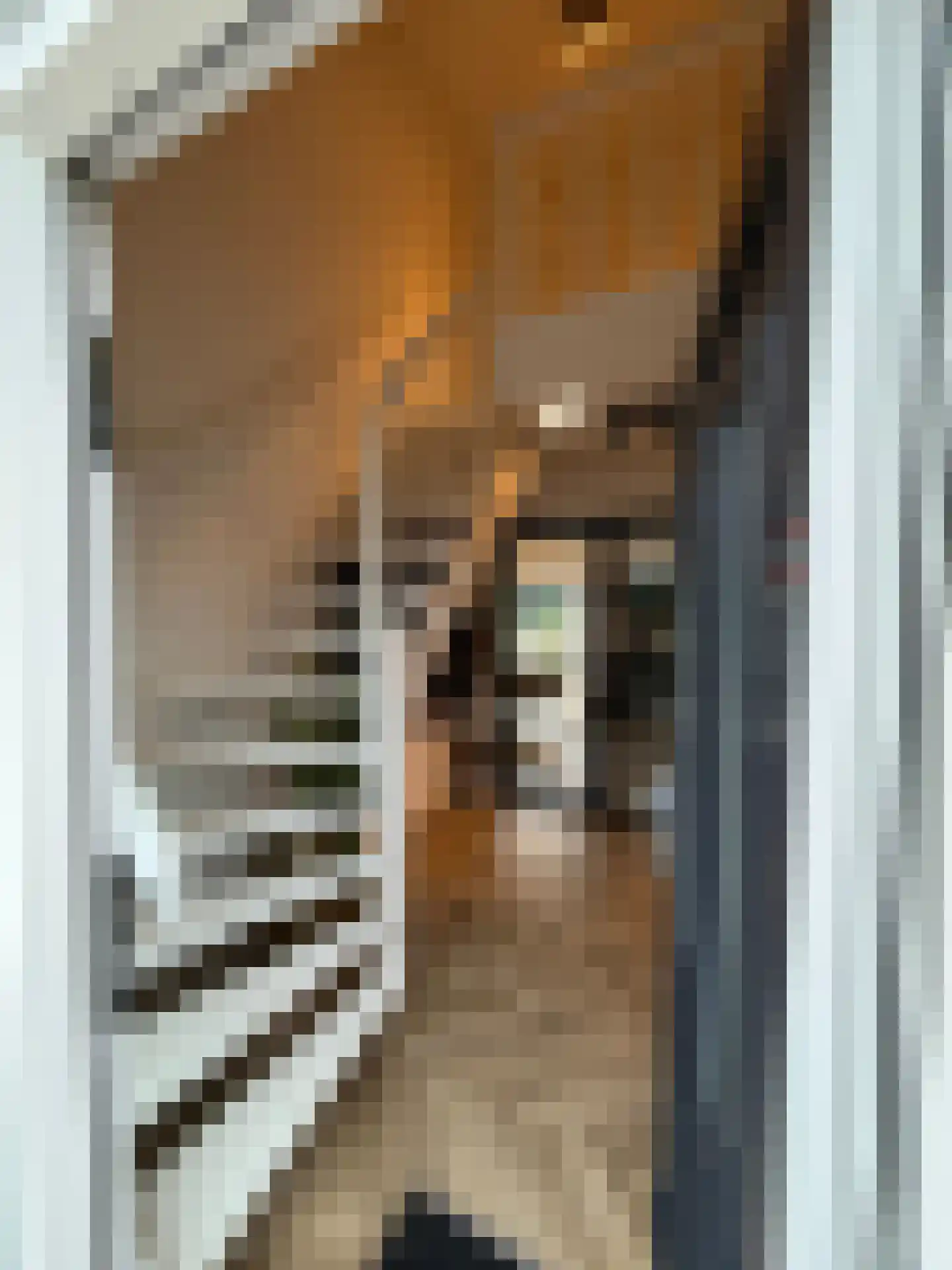 Veenslagenweg 170 Hoevelaken thumbnail 14