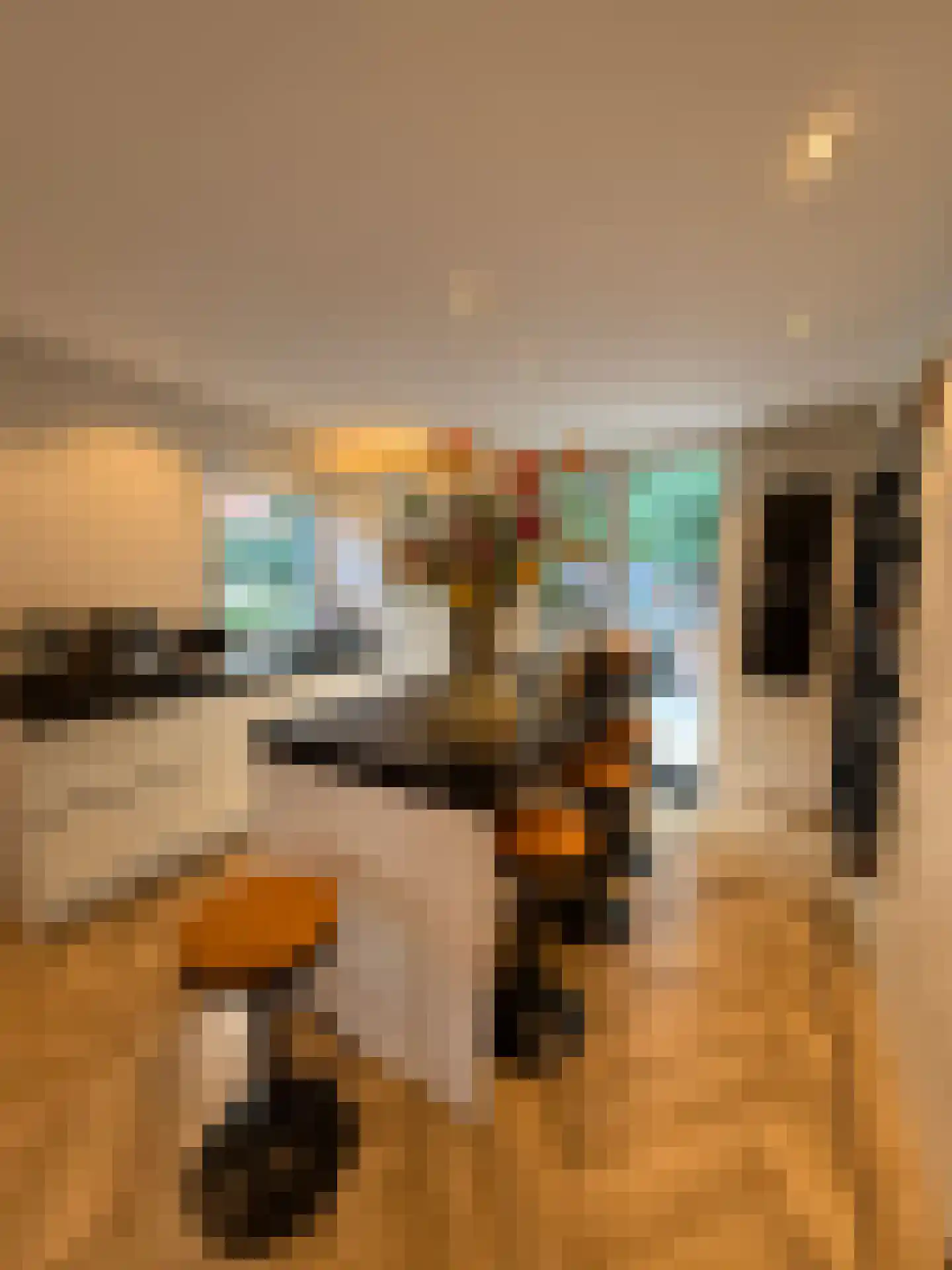 Veenslagenweg 170 Hoevelaken thumbnail 19