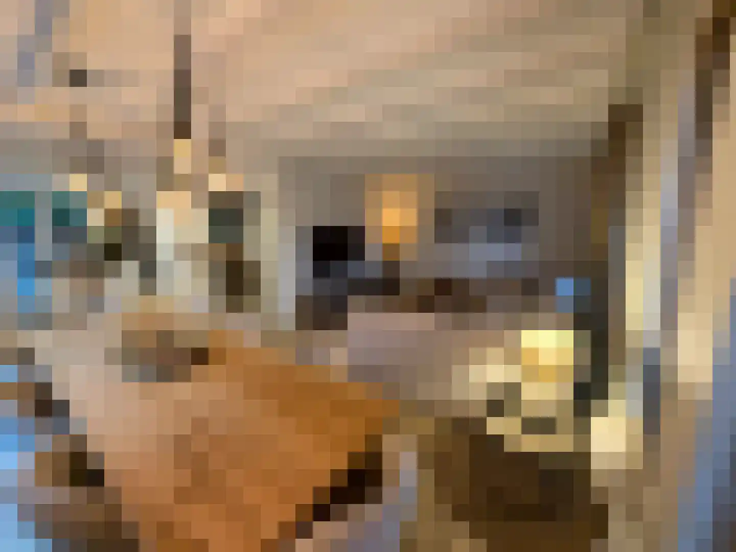 Veenslagenweg 170 Hoevelaken thumbnail 24
