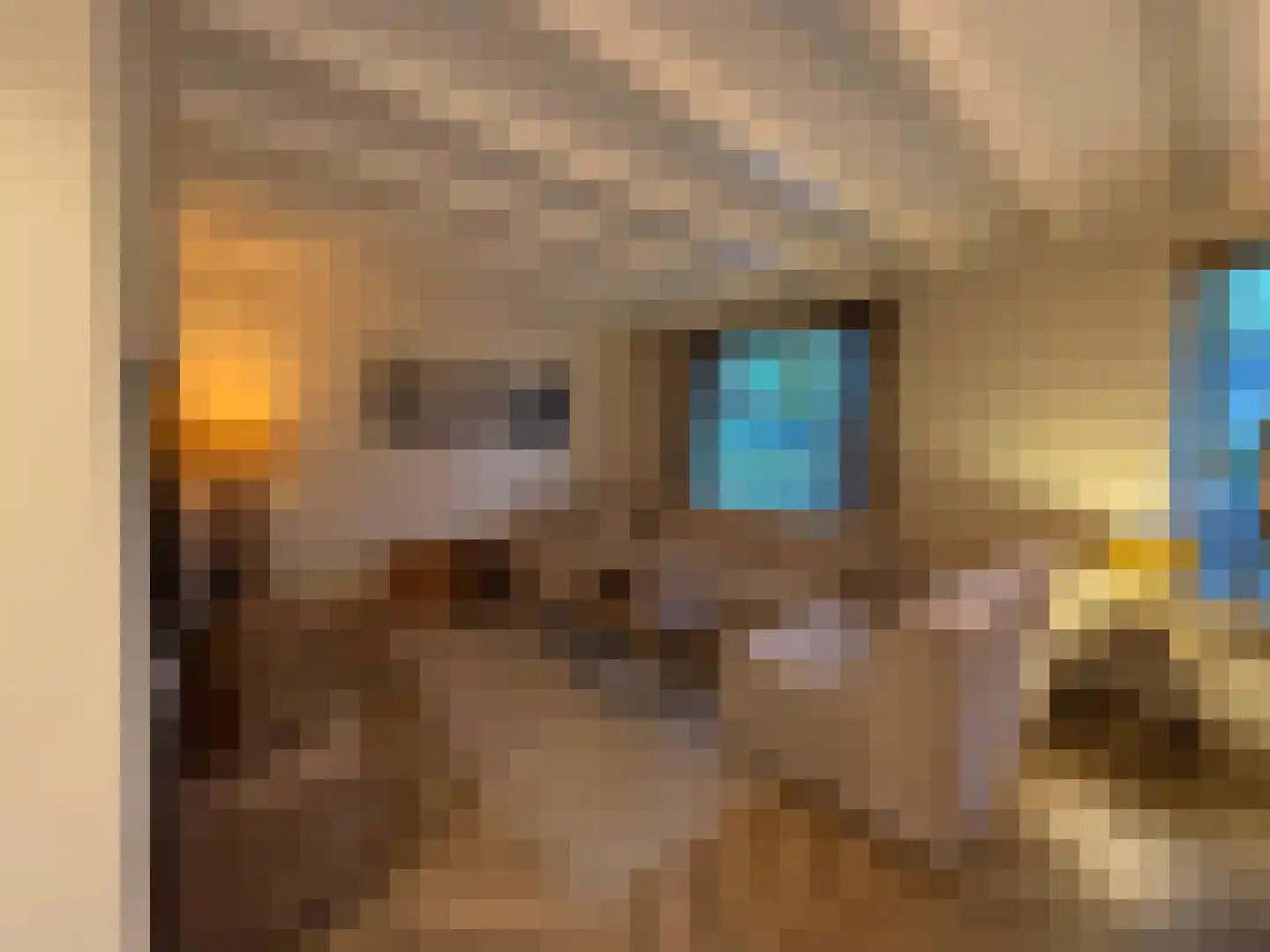 Veenslagenweg 170 Hoevelaken thumbnail 27