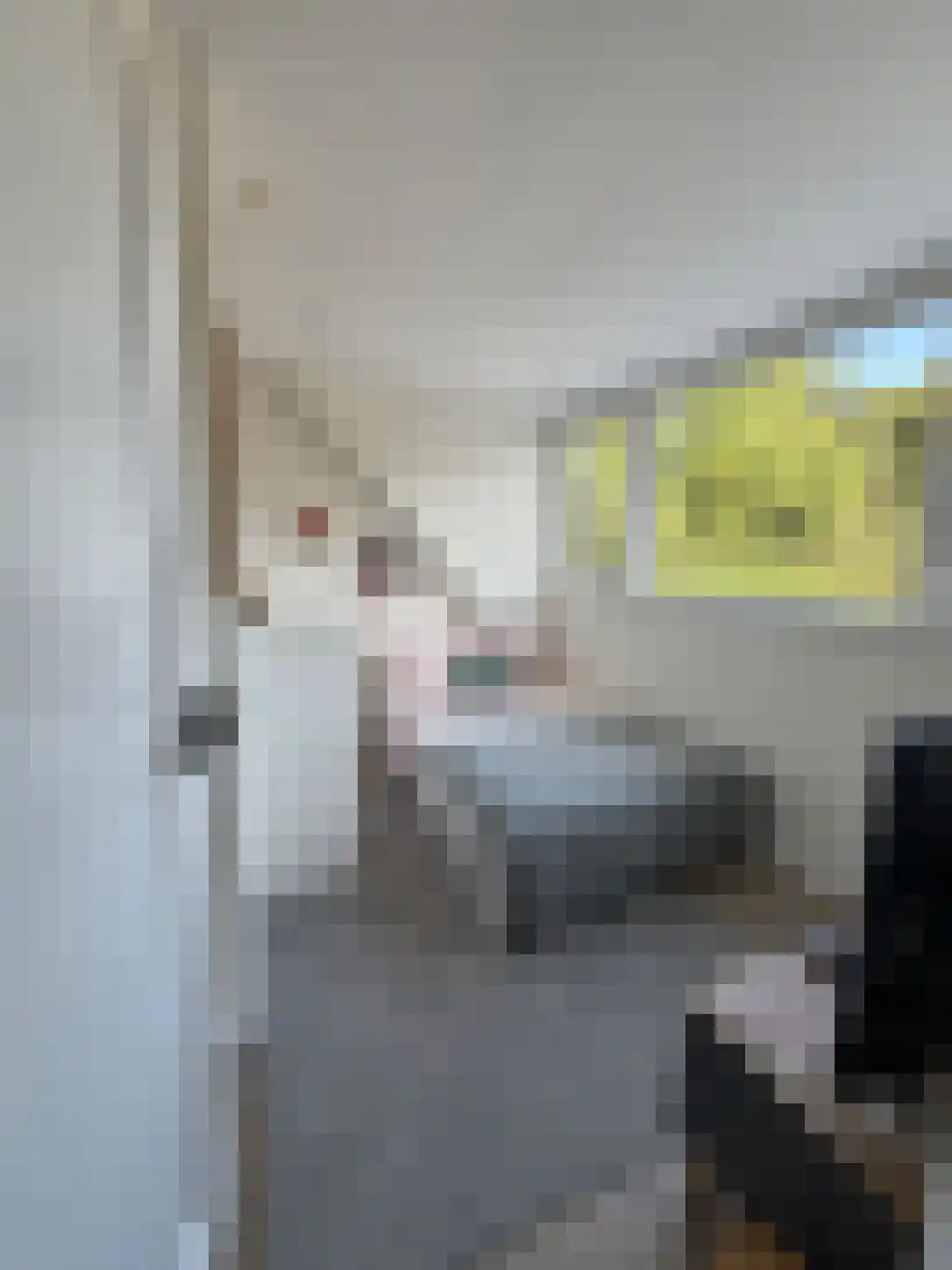 Veenslagenweg 170 Hoevelaken thumbnail 31