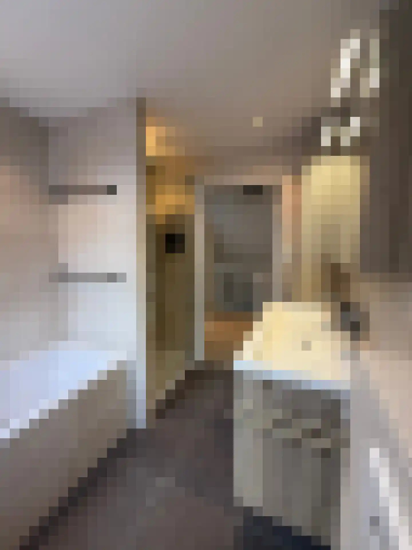 Veenslagenweg 170 Hoevelaken thumbnail 35