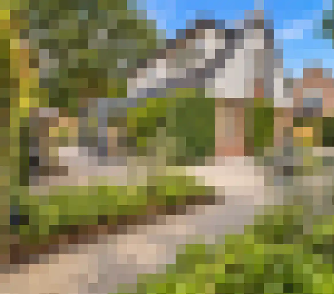 Veenslagenweg 170 Hoevelaken thumbnail 4