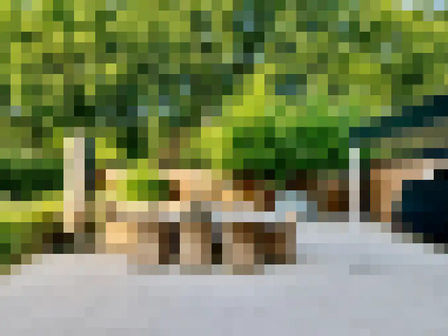 Veenslagenweg 170 Hoevelaken thumbnail 5
