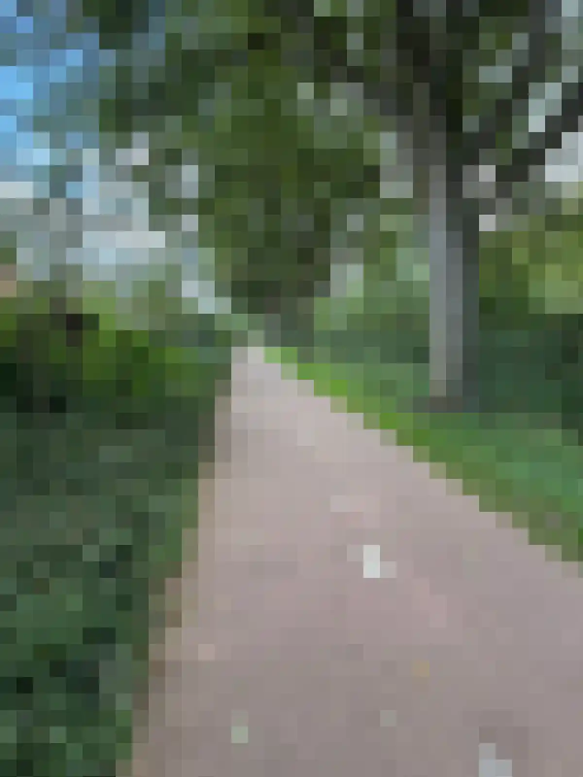 Veenslagenweg 170 Hoevelaken thumbnail 8