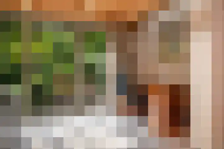 Veenslagenweg 176 Hoevelaken thumbnail 13