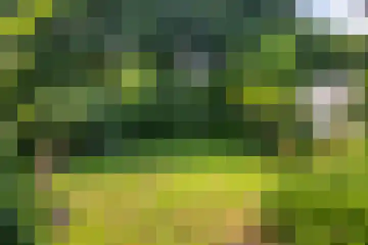 Veenslagenweg 176 Hoevelaken thumbnail 29