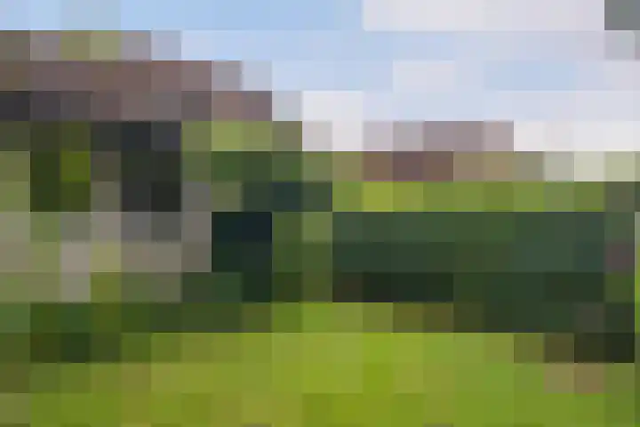 Veenslagenweg 176 Hoevelaken thumbnail 31