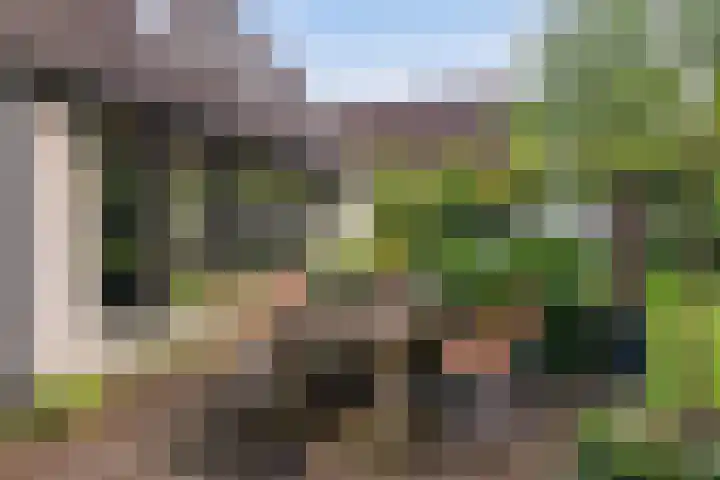 Veenslagenweg 176 Hoevelaken thumbnail 32