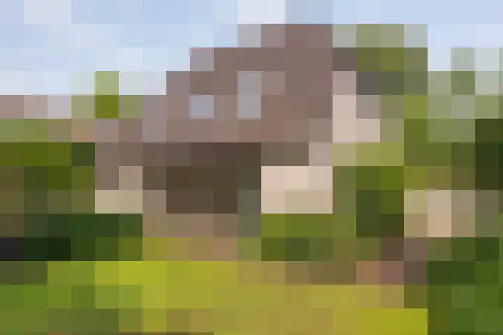 Veenslagenweg 176 Hoevelaken thumbnail 33