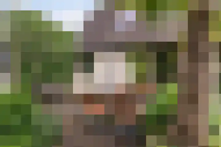 Veenslagenweg 176 Hoevelaken thumbnail 35