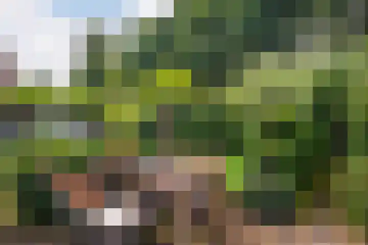 Veenslagenweg 176 Hoevelaken thumbnail 36