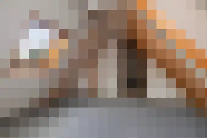 Veenslagenweg 176 Hoevelaken thumbnail 47