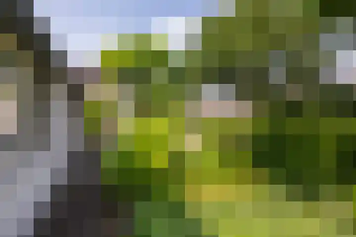 Veenslagenweg 176 Hoevelaken thumbnail 5