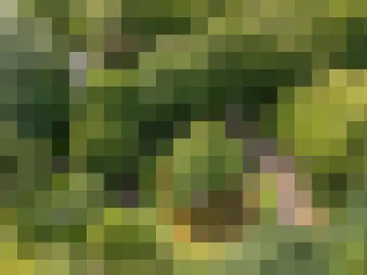 Veenslagenweg 176 Hoevelaken thumbnail 51