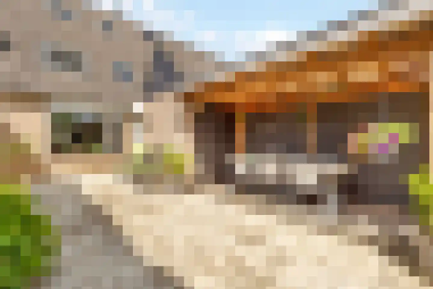 Veenslagenweg 65 Hoevelaken thumbnail 25