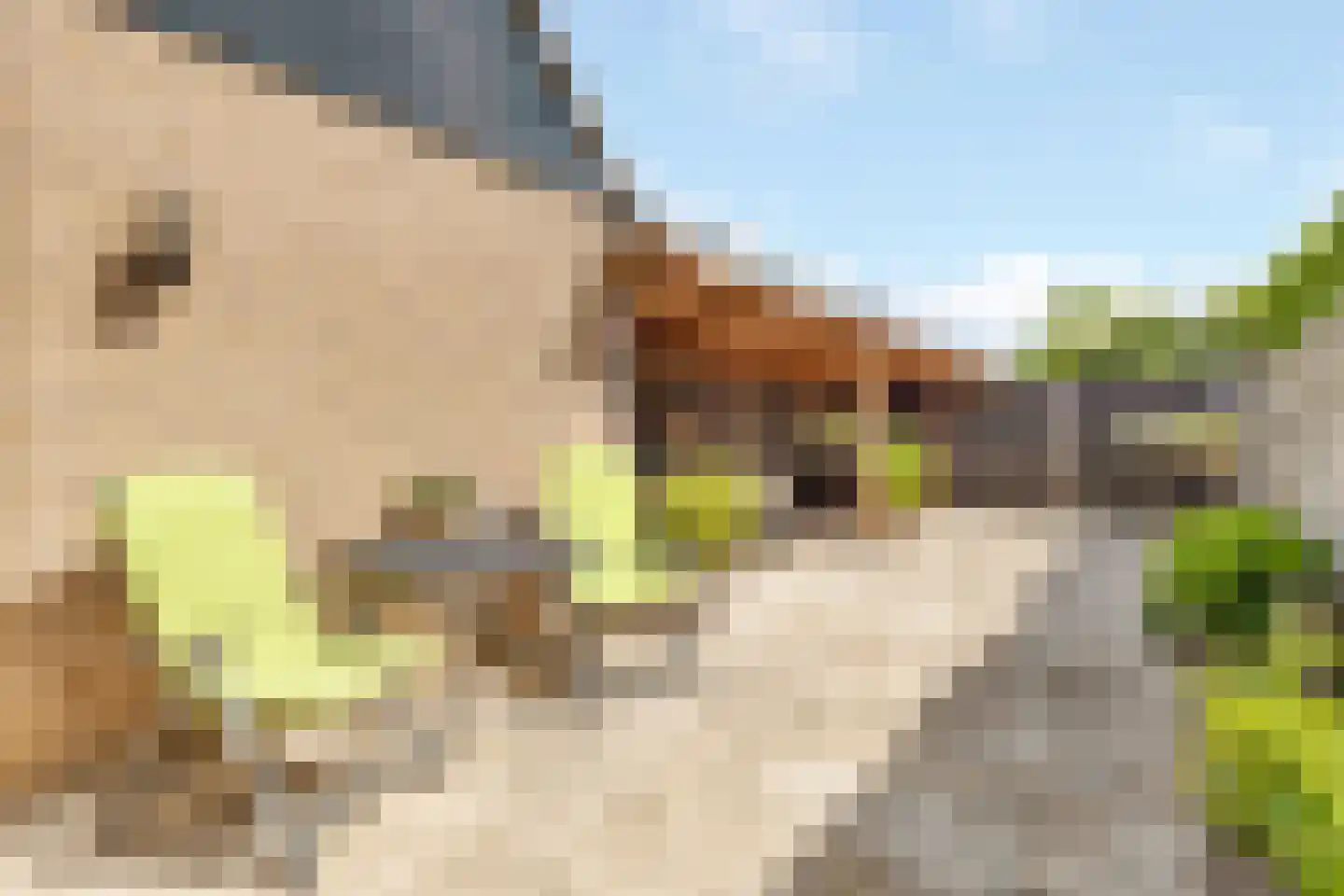 Veenslagenweg 65 Hoevelaken thumbnail 26