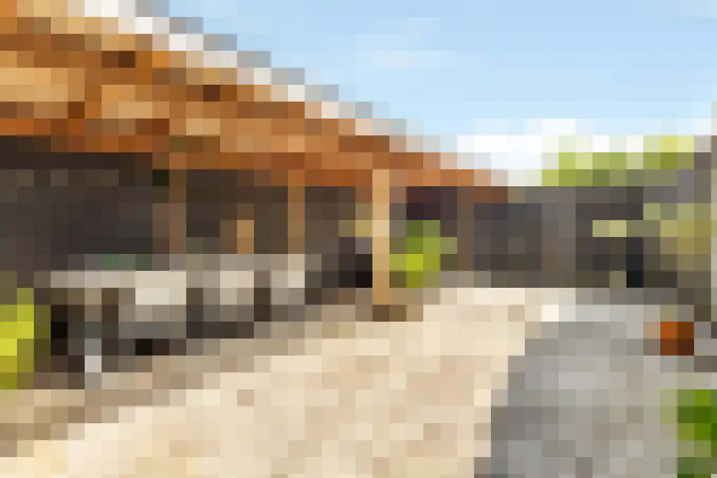 Veenslagenweg 65 Hoevelaken thumbnail 27