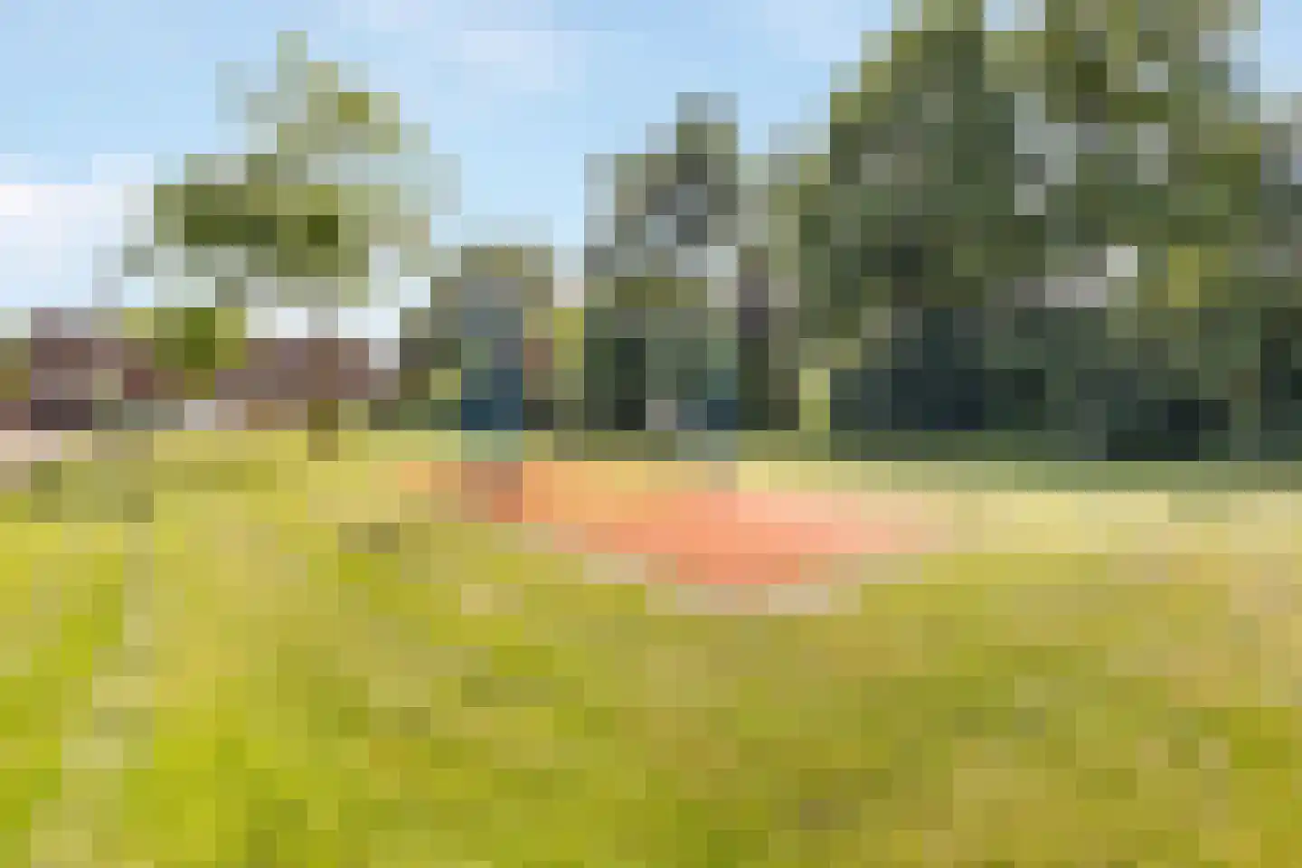 Veenslagenweg 65 Hoevelaken thumbnail 29