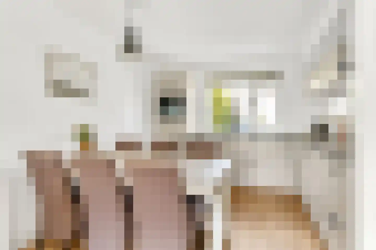 Veenslagenweg 65 Hoevelaken thumbnail 9