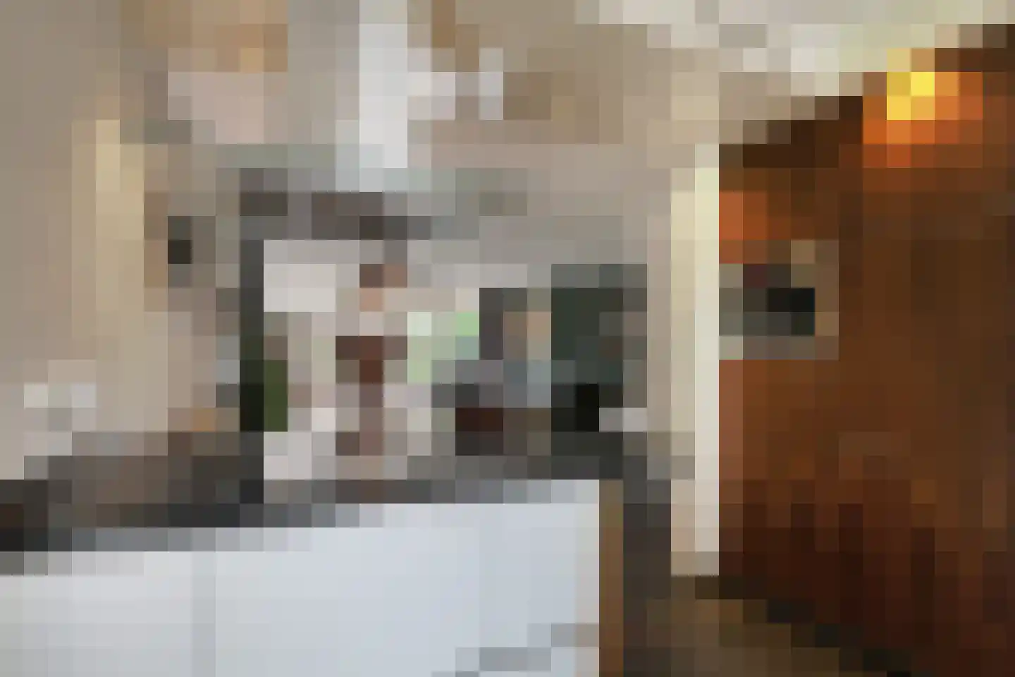 Veenslagenweg 81 Hoevelaken thumbnail 13