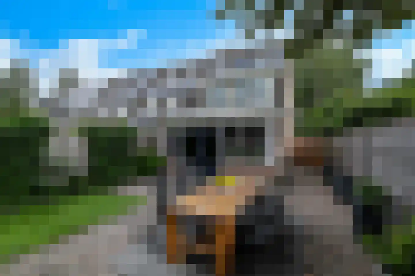 Veenslagenweg 81 Hoevelaken thumbnail 35
