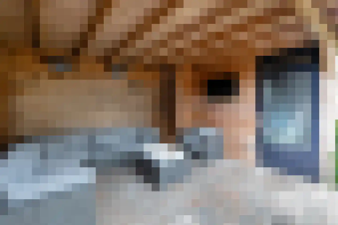Veenslagenweg 81 Hoevelaken thumbnail 38