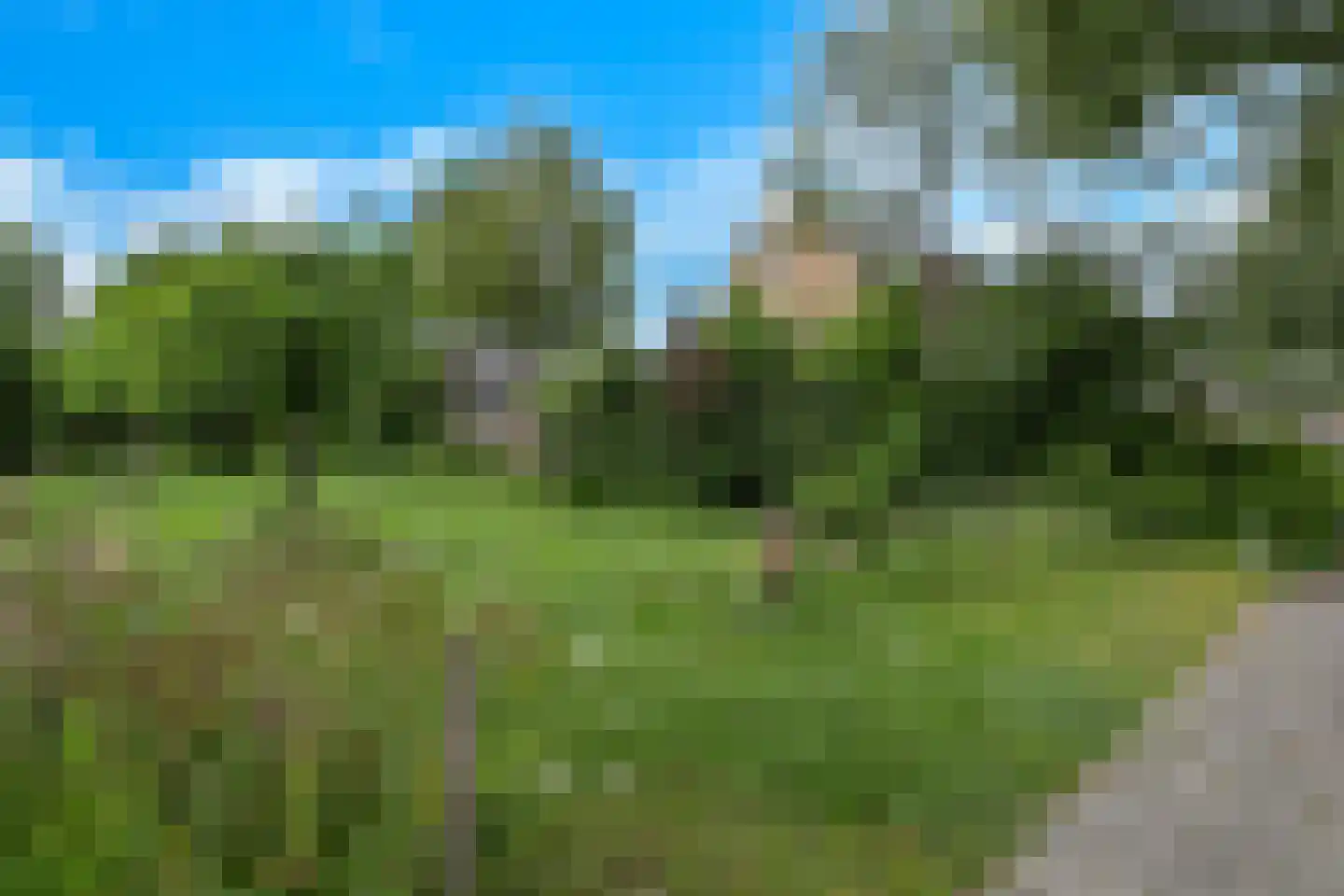 Veenslagenweg 81 Hoevelaken thumbnail 40