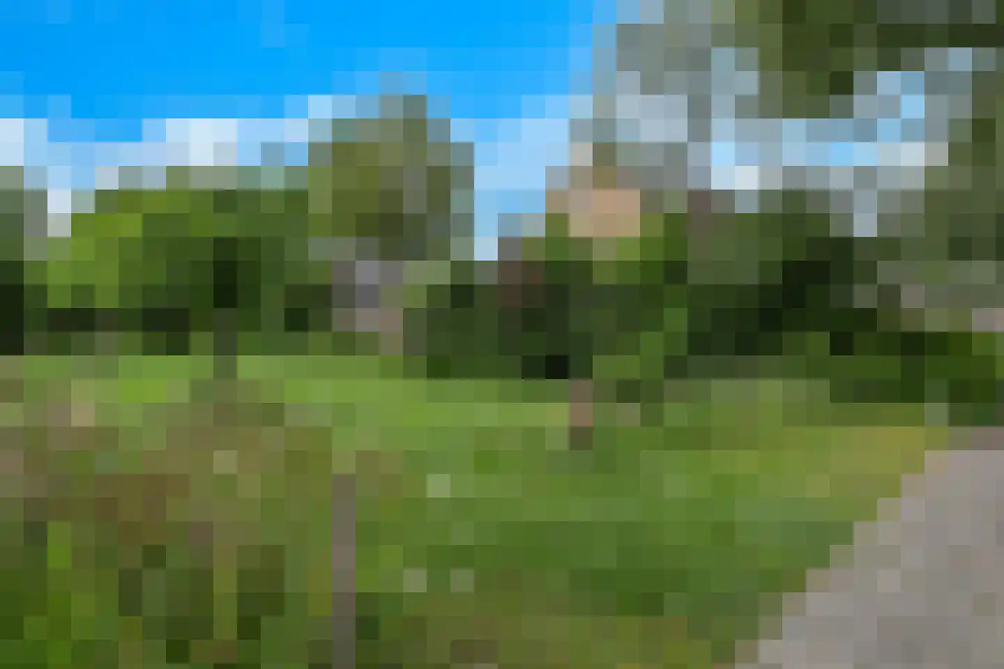 Veenslagenweg 81 Hoevelaken thumbnail 40