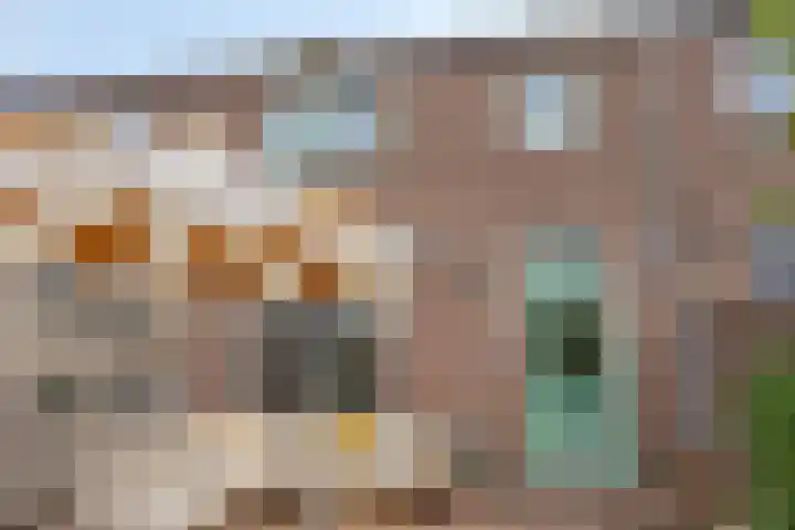 Veenstraat 10 IJsselmuiden thumbnail 22
