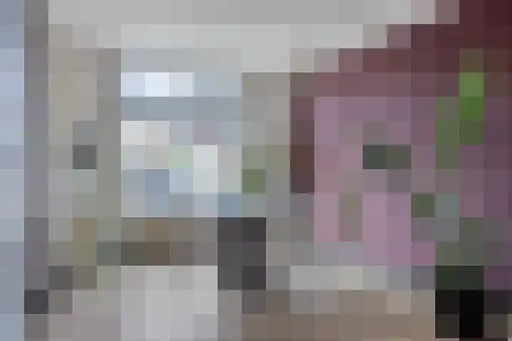 Veenstraat 10 IJsselmuiden thumbnail 4