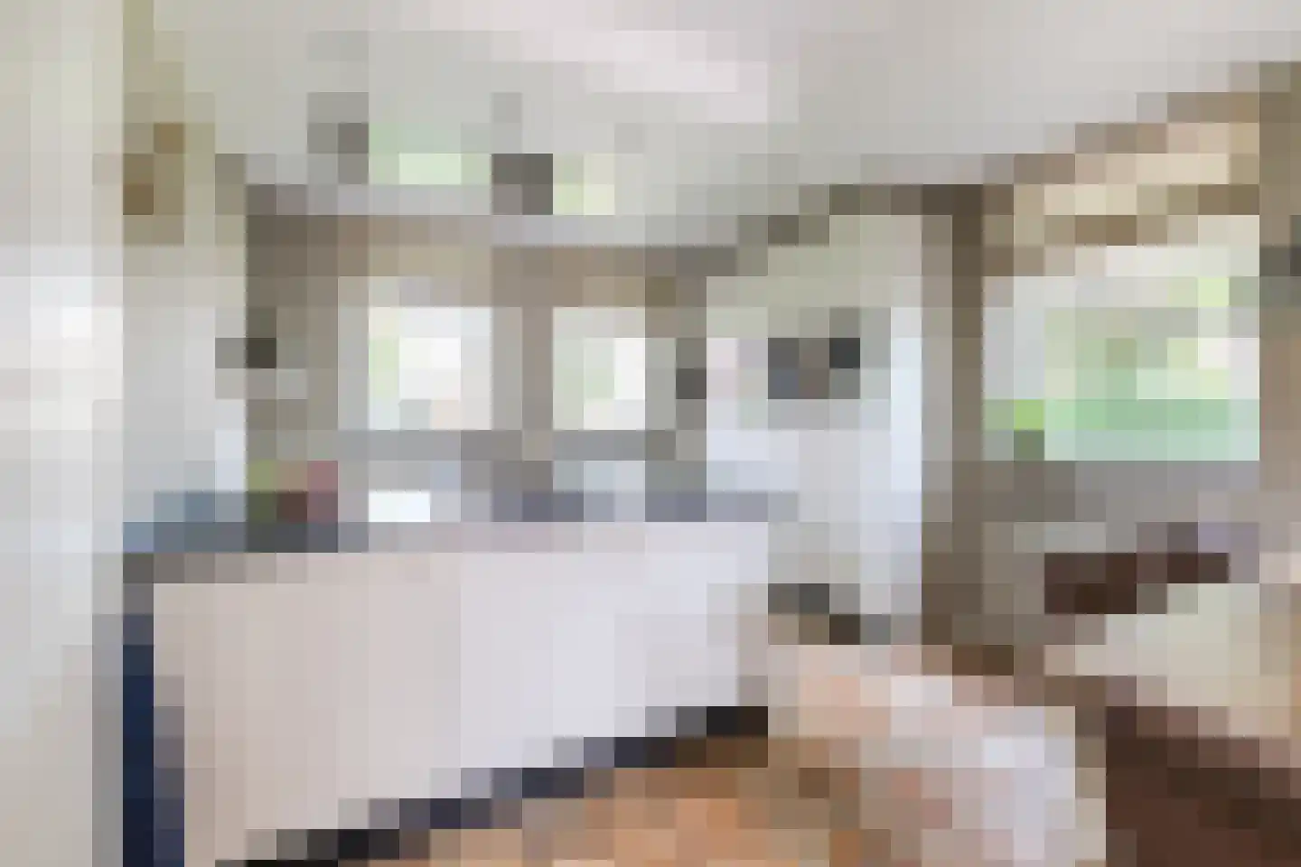 Veenstraat 16 Molenschot thumbnail 16