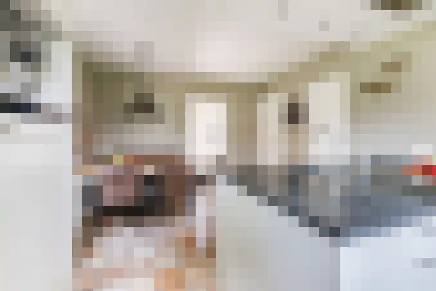 Veenstraat 16 Molenschot thumbnail 19