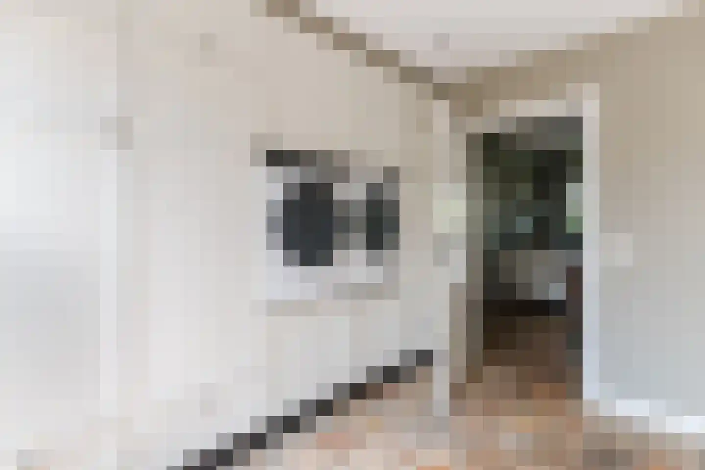 Veenstraat 16 Molenschot thumbnail 21